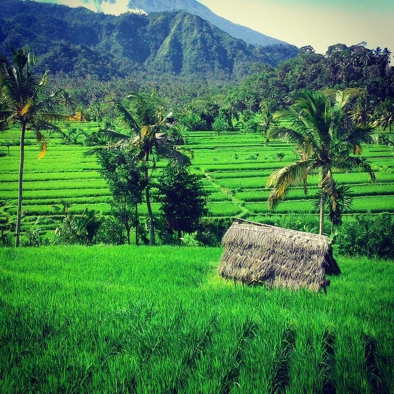 Amed Paradise Warung & House Bali Exterior foto